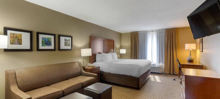 马里恩I-57号舒适套房酒店(Comfort Inn & Suites Marion I-57)图片