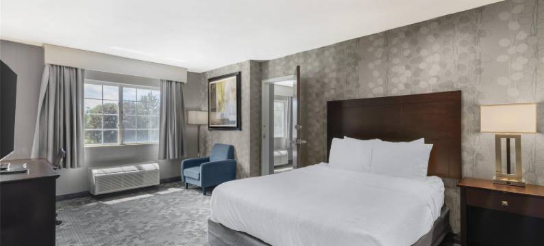 康科德贝斯特韦斯特套房酒店(Best Western Concord Inn  Suites)图片