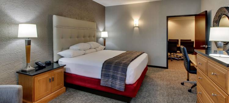 凤凰城欢乐谷德鲁里套房酒店(Drury Inn & Suites Phoenix Happy Valley)图片
