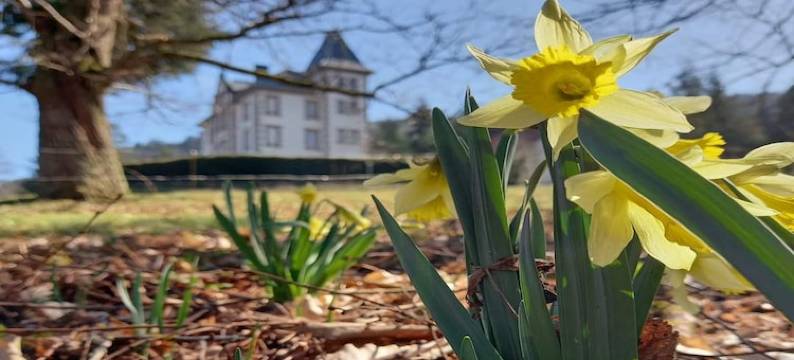 House in Vosges near Forest and Hiking Trails图片