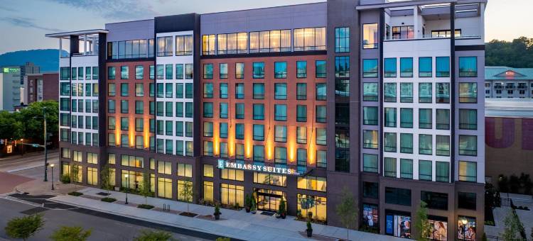 查塔努加市中心希尔顿惠庭套房酒店(Embassy Suites by Hilton Chattanooga Downtown)图片