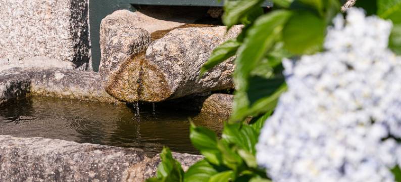 Casa do Pomar - Manor House图片