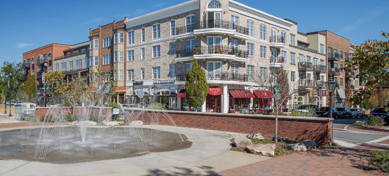 阿尔法利塔-阿瓦隆地区逸衡酒店(EVEN Hotel ALPHARETTA - AVALON AREA by IHG)图片