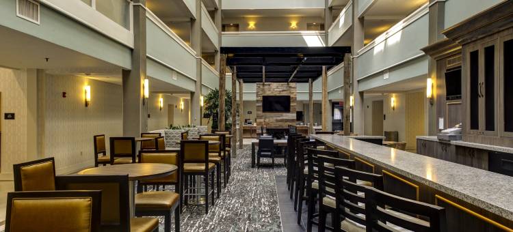 威廉斯堡希尔顿安泊酒店(Embassy Suites by Hilton Williamsburg)图片
