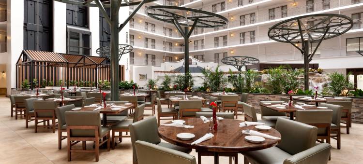 达拉斯沃斯堡国际机场南希尔顿Embassy Suites酒店(Embassy Suites by Hilton Dallas DFW Airport South)图片