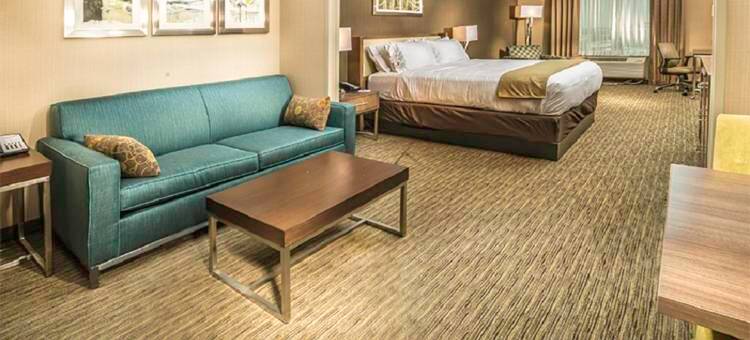 盐湖城南墨里智选假日酒店及套房(Holiday Inn Express & Suites SALT LAKE CITY SOUTH - MURRAY by IHG)图片