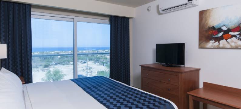 Holiday Inn Express 洛斯卡波斯(Holiday Inn Express CABO SAN LUCAS by IHG)图片