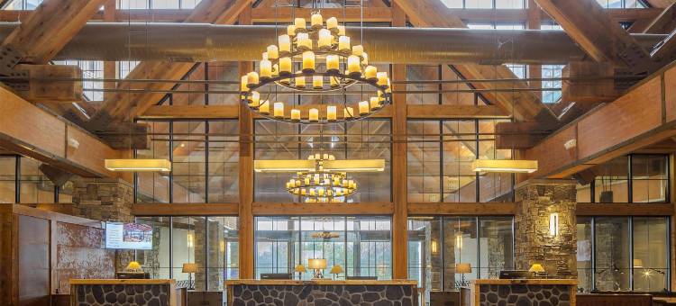 希尔顿格兰德度假俱乐部天堂角霍利斯特(Hilton Grand Vacation Club Paradise Point Hollister)图片