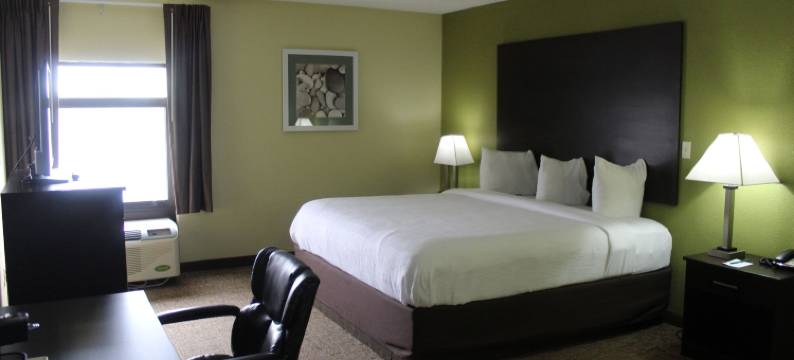 大学区凯艺套房酒店(Quality Inn & Suites University Area)图片