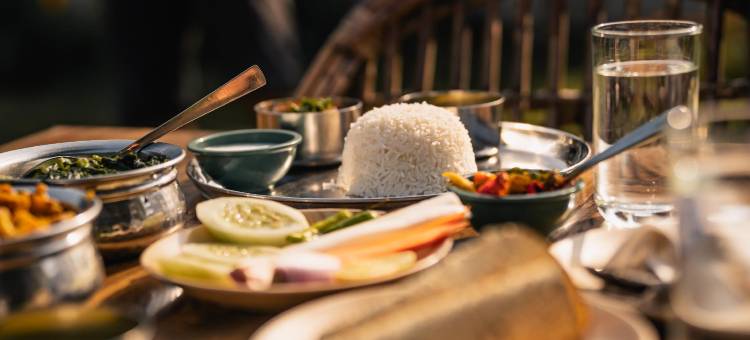 巴迪亚森林度假村(Bardia Forest Resort)图片