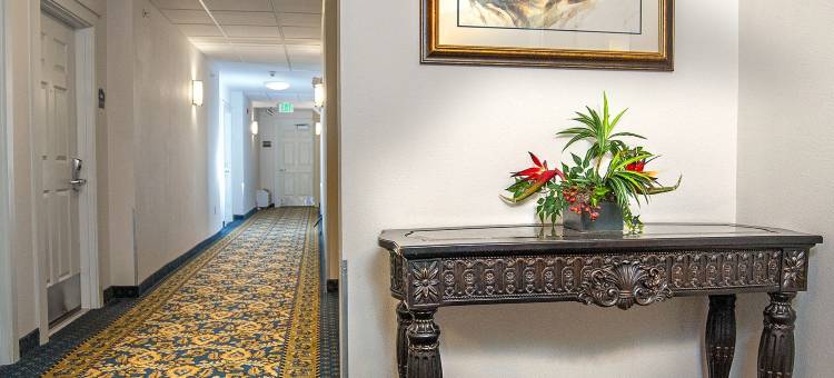 SureStay Plus Hotel by Best Western Billings图片