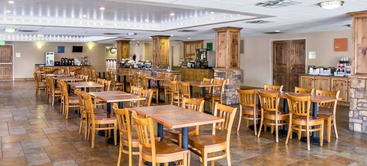 会议中心内舒适酒店(Comfort Inn at Convention Center)图片