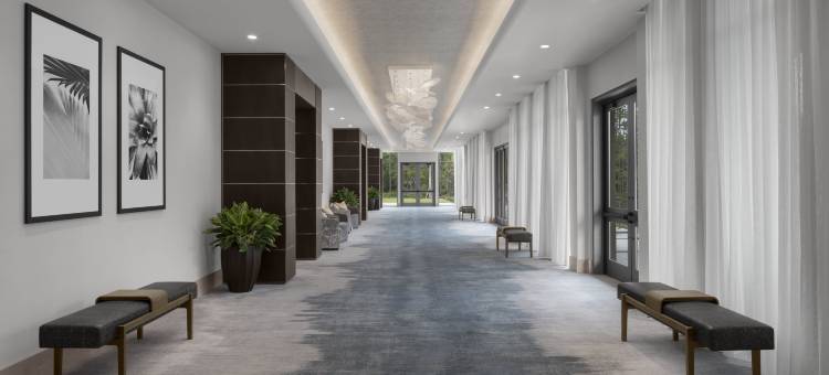 Hilton Jacksonville at Mayo Clinic图片