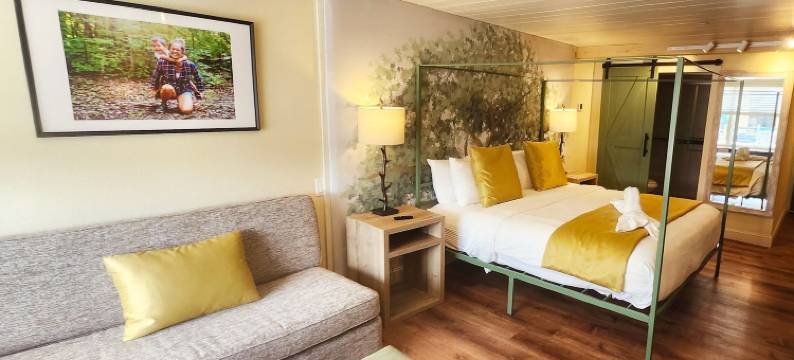 阿伯斯登岛酒店及套房(Arbors at Island Landing Hotel & Suites)图片