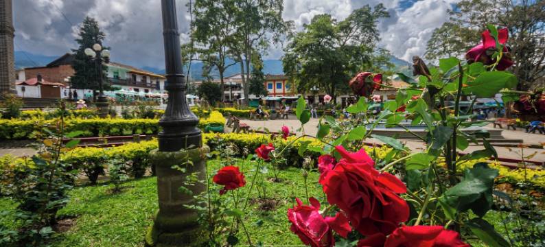 拉斯霍达西亚家庭旅馆(Casa Hotel Las Hortensias)图片