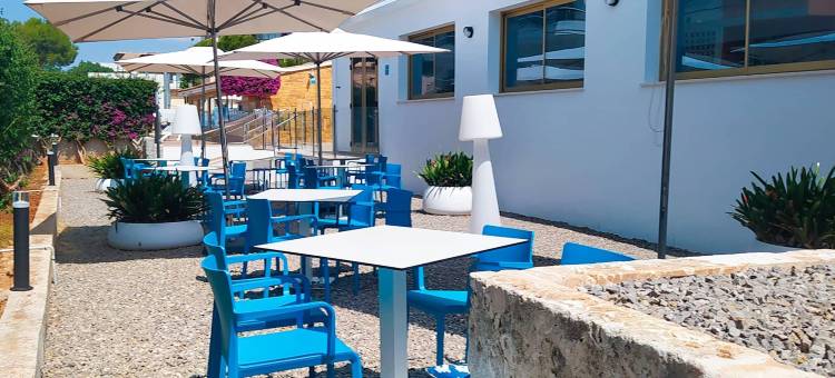 蓝海唐海梅(Bluesea Don Jaime)图片