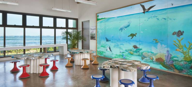 多拉多海滩丽思卡尔顿度假酒店(Residences at Dorado Beach, a Ritz-Carlton Reserve)图片