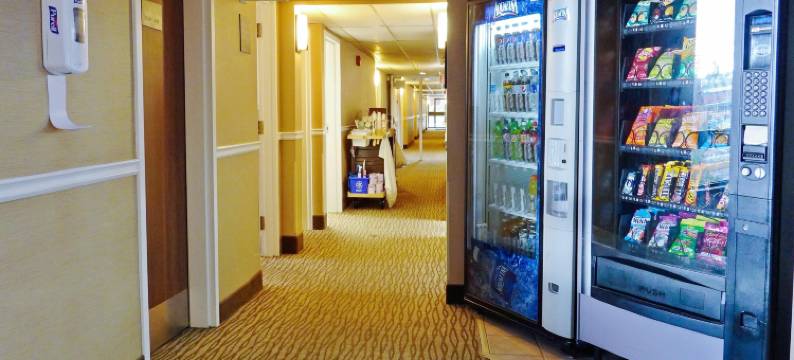 舒适酒店(Comfort Inn Dartmouth)图片