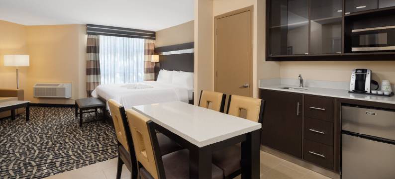 波基普西假日酒店(Holiday Inn POUGHKEEPSIE by IHG)图片