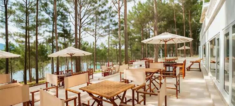 大叻樱桃酒店及度假村(Cereja Hotel & Resort Da Lat)图片