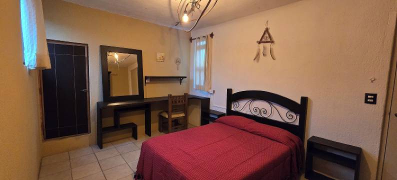 索奇米尔科的树之家旅馆(Casa del Árbol Hostel Xochimilco)图片