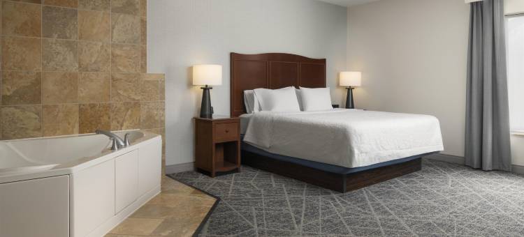 欢朋酒店-埃尔迈拉-霍斯黑兹(Hampton Inn Elmira/Horseheads)图片