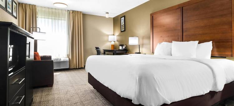 埃文斯维尔东舒适酒店(Comfort Inn Evansville East)图片