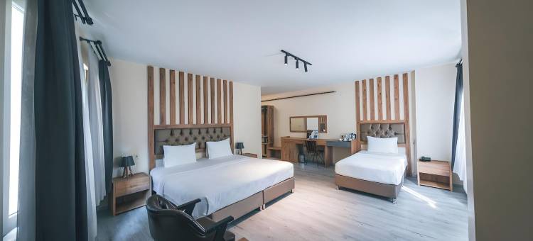 格兰德464酒店(Grand 464 Otel)图片