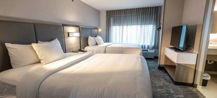 加哈那哥伦布万豪SpringHill机场酒店(SpringHill Suites Columbus Airport Gahanna)图片