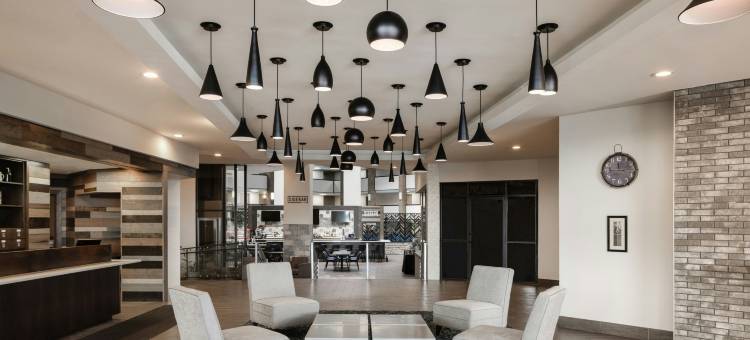 底特律诺维福朋喜来登酒店(Four Points by Sheraton Detroit Novi)图片