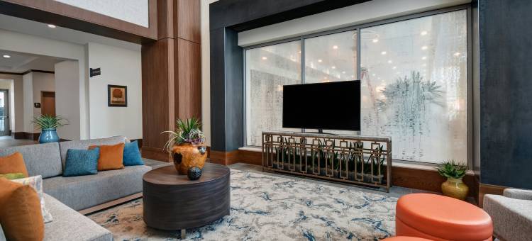 休斯顿医疗中心希尔顿花园酒店(Hilton Garden Inn Houston Medical Center, TX)图片