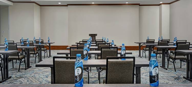 休斯顿医疗中心希尔顿惠庭套房酒店(Home2 Suites by Hilton Houston Medical Center)图片