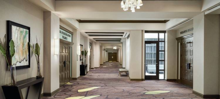 博卡－拉顿博卡中心万豪酒店(Boca Raton Marriott at Boca Center)图片