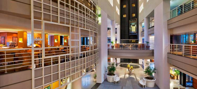 马德普拉塔喜来登酒店(Sheraton Mar del Plata Hotel)图片