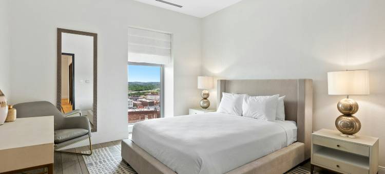 诺克斯维尔市中心希尔顿安泊酒店(Embassy Suites by Hilton Knoxville Downtown)图片