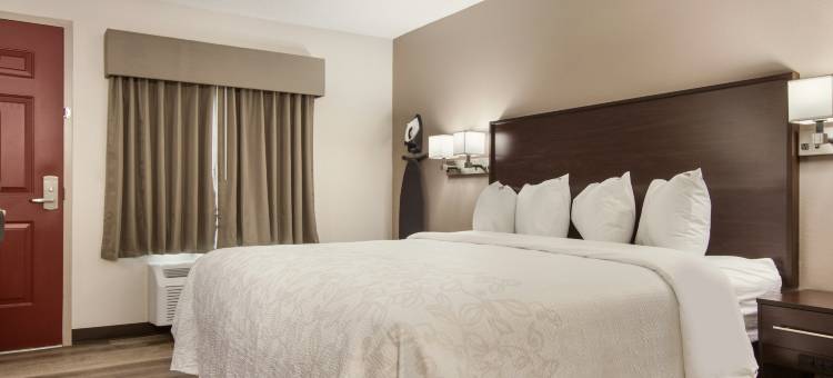 伊利红屋顶普拉斯套房酒店(Red Roof Inn Plus & Suites Erie)图片