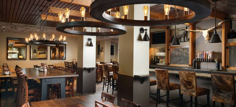 拉斯科琳娜希尔顿花园酒店(Hilton Garden Inn Las Colinas)图片