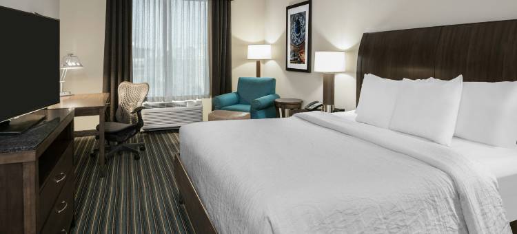 圣安东尼奥/瑞姆帕斯得里弗希尔顿花园酒店(Hilton Garden Inn San Antonio/Rim Pass Drive)图片