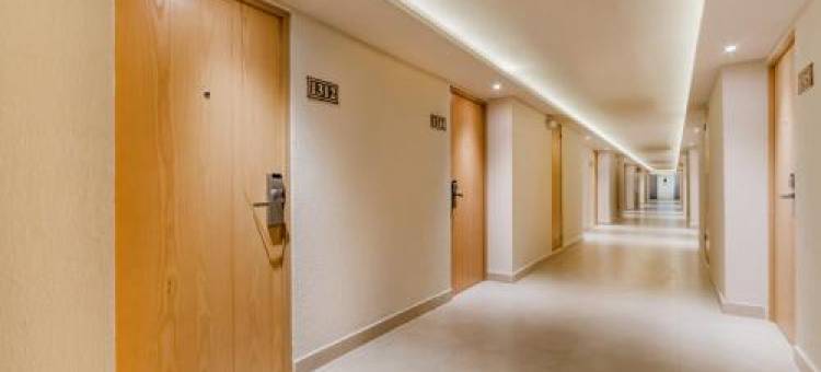 坎昆阳光皇家滨海温泉酒店(Royal Solaris Cancun-All Inclusive)图片
