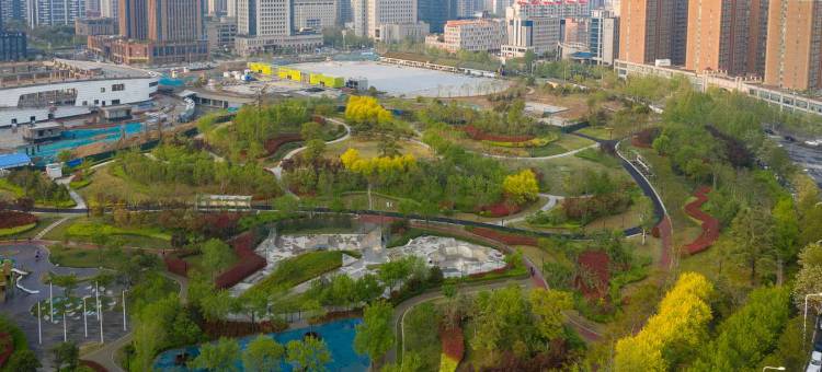 尚客优酒店(郑州高铁东站店)图片