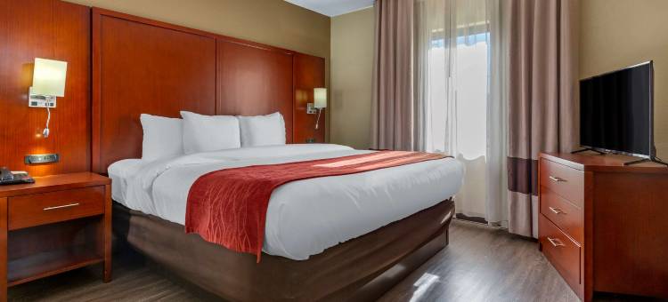 福特米尔舒适酒店 卡罗温兹大道游乐园(Comfort Inn Fort Mill Amusement Park at Carowinds Blvd)图片