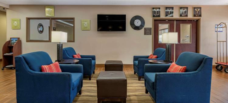 福明顿舒适酒店及套房(Comfort Inn & Suites Farmington - Victor)图片