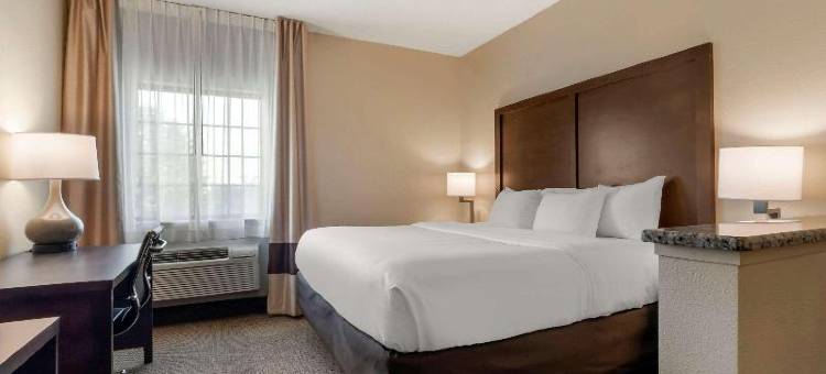 梅肯舒适套房酒店(Comfort Inn & Suites Macon)图片