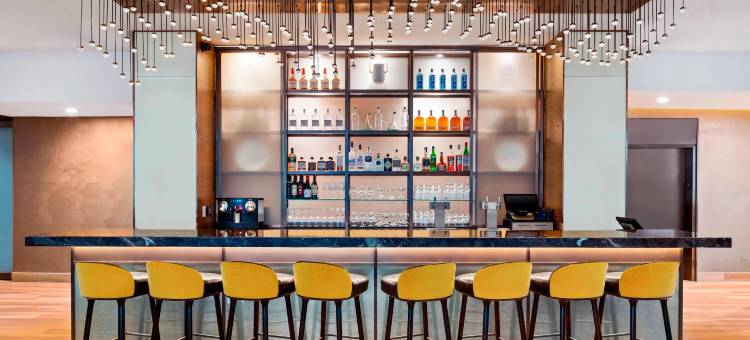 纽约市中心万豪 AC 酒店(AC Hotel New York Downtown)图片