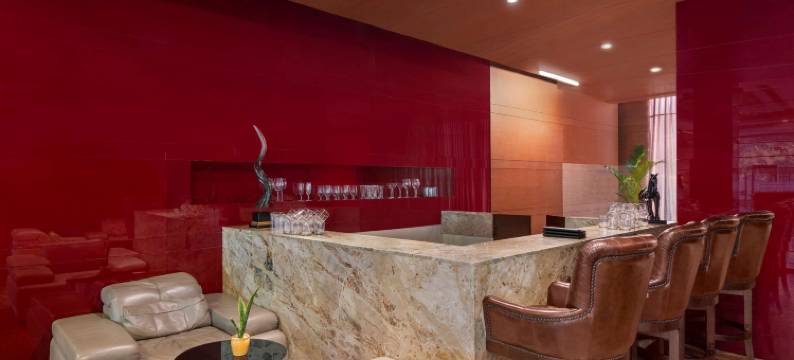 新德里皮坦普拉温德姆华美达酒店(Ramada by Wyndham New Delhi Pitampura)图片