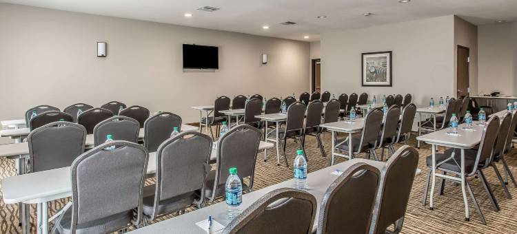 舒适套房酒店(Comfort Inn & Suites Snyder)图片