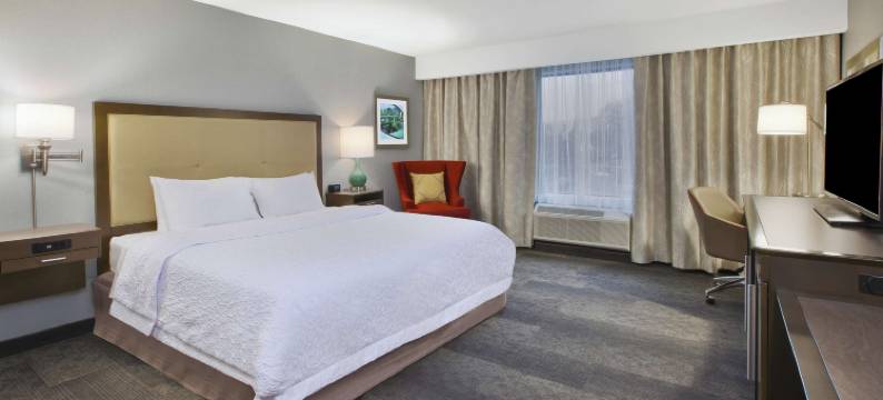 密歇根州底特律迪尔伯恩希尔顿欢朋酒店(Hampton Inn Detroit/Dearborn)图片