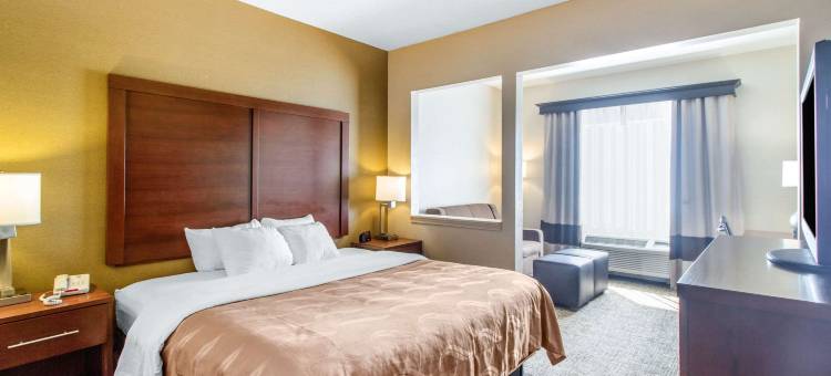 品质套房酒店(Quality Suites)图片