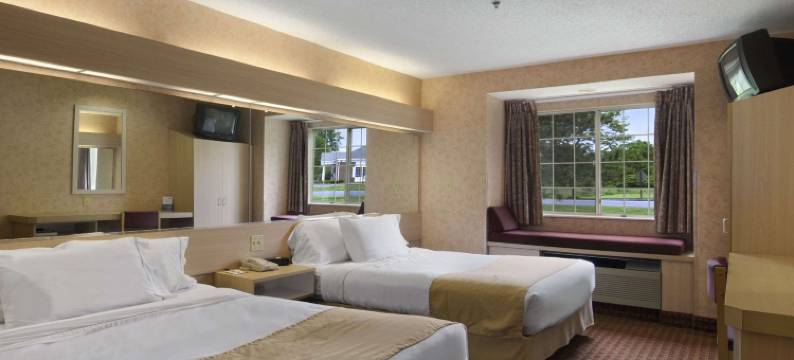 鲍德温斯维尔-锡拉丘兹麦客达套房酒店(Microtel Inn & Suites by Wyndham Baldwinsville/Syracuse)图片