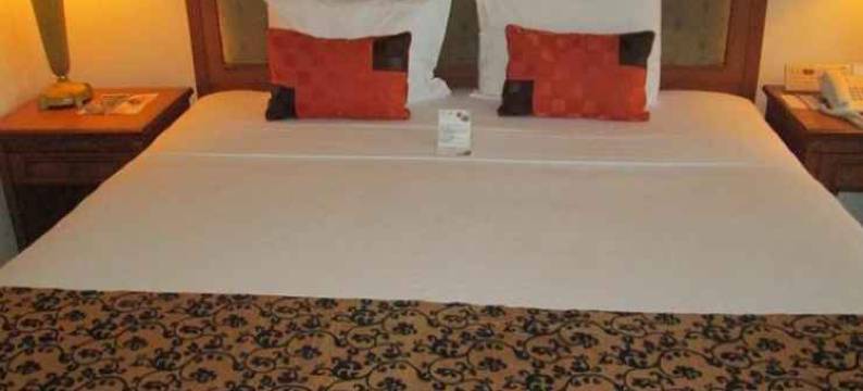 大埃尔蒂酒店(Grand Elty Singgasana Tenggarong)图片